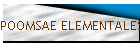 POOMSAE ELEMENTALES