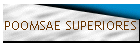 POOMSAE SUPERIORES